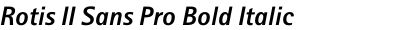 Rotis II Sans Pro Bold Italic
